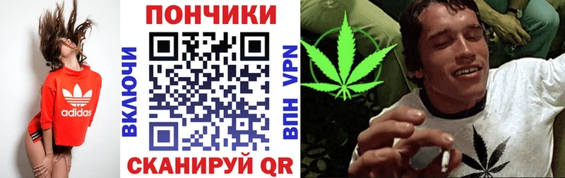 где купить наркотик  Макаров  Конопля ГИДРОПОН 